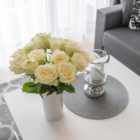 Chilliapartamenty - Navigator - Dmuchawce * コウォブジェク